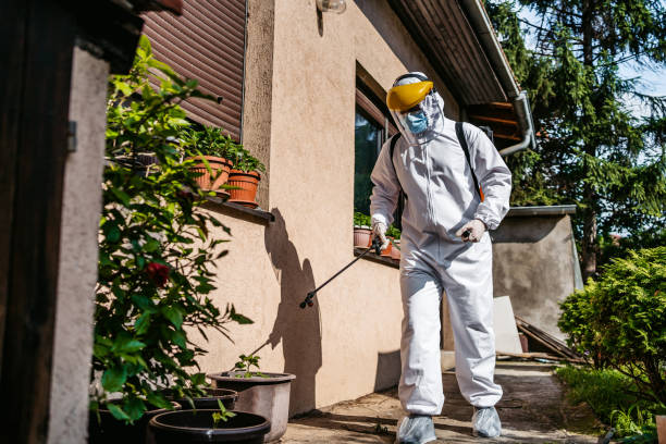 Best Flea Control Services  in Versailles, PA