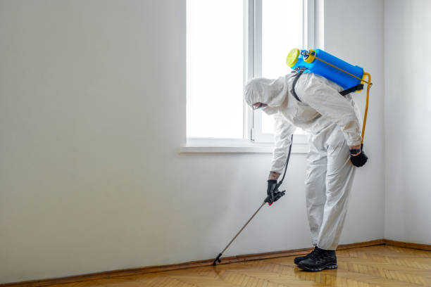Best Residential Pest Control  in Versailles, PA