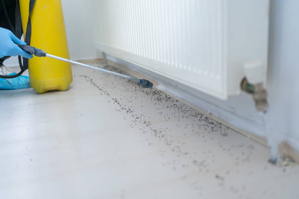 Best Pest Prevention Services  in Versailles, PA
