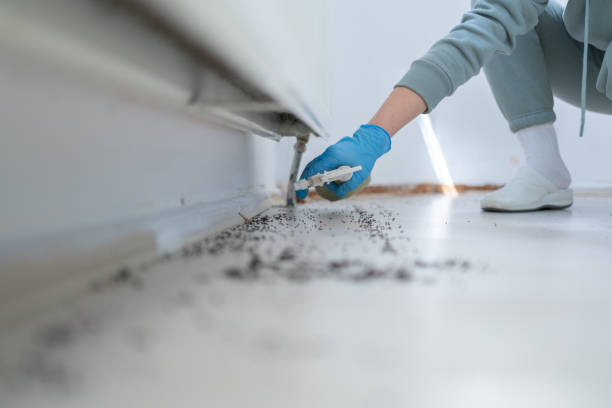 Reliable Versailles, PA Pest Control Solutions